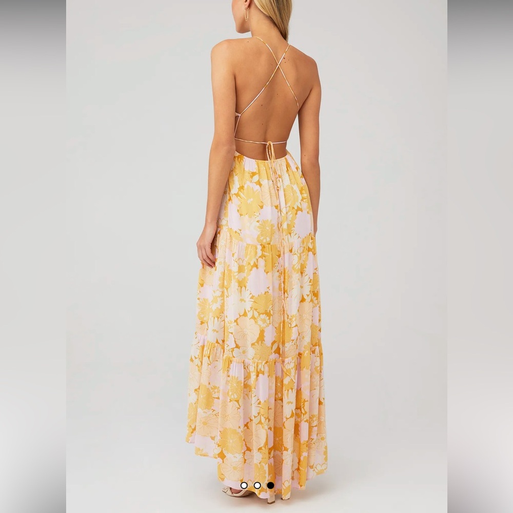 Brianna Maxi Dress Multi View 3